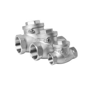 Quality DN8-DN100 Female Male Thread Check Valve SS304 316 H14W for Your Requirement wholesale