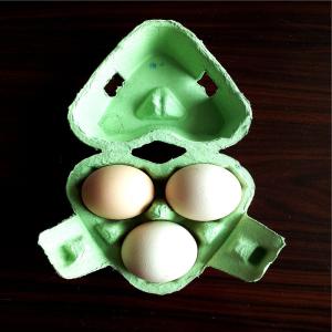 Quality Customizable Plastic Injection Food Container Mold Egg Carton Use wholesale