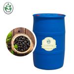 OEM ODM Black Currant Seed Carrier Oil Cold Press For Health Care