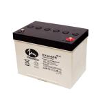 EV34 12 volt Sealed Lead Acid Battery 65ah 20hr Car Battery For Golf Buggies