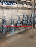 ANSI 125LB ASTM A126B cast iron gate valve