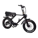 Removable Battery Full Suspension 1000W Electric Fat Bike with Lithium Power
