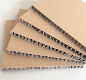 Quality honeycomb cardboard sheet PP Plastic Corrugated Honeycomb Cardboard Sheet wholesale