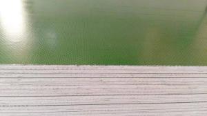Quality Large Format Plastic Laminated Plywood 1.1mm-1.8cm Thickness ISO Approval wholesale