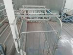 Corrosion Resistance Customized Pig Farm Gestation Crate