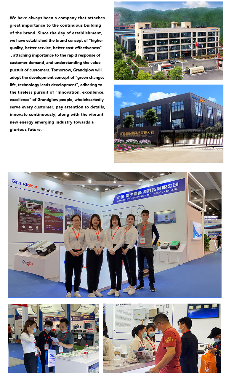 On Grid Inverter Pure Sine Wave Output Solar Wind Power Inverter 3KW 5KW 10KW