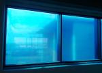 Self Adhesive PE Protective Film , Window Glass Protection Film For Outdoor /