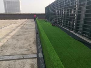 Quality Garden Lawn Grass Carpet , Artificial Grass Carpet Roll PVC Material wholesale