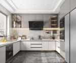 Furniture Product Essay Assembly Kitchen Cabinet Apartment Use Laminate Finish
