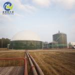 Corrosion Resistance Biogas Digester Septic Tank For Residential And Industrial