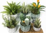 Greenery Fake Faux Potted Floor Plants Used In Windowsill Bookshelf