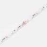 Buy cheap SPI Digital SMD 5050 RGB LED Strip DC24V 14.4W 10mm RGBIC LED Strip Lights from wholesalers