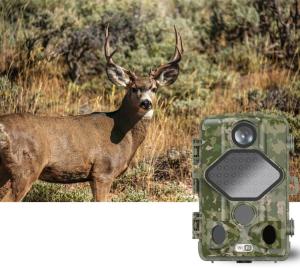 Quality 4K/2.7K/1080P Hunting Surveillance Camera With 4xAA Batteries 2500mAh wholesale