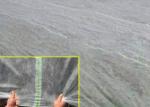 Transparent Non Woven Landscape Fabric