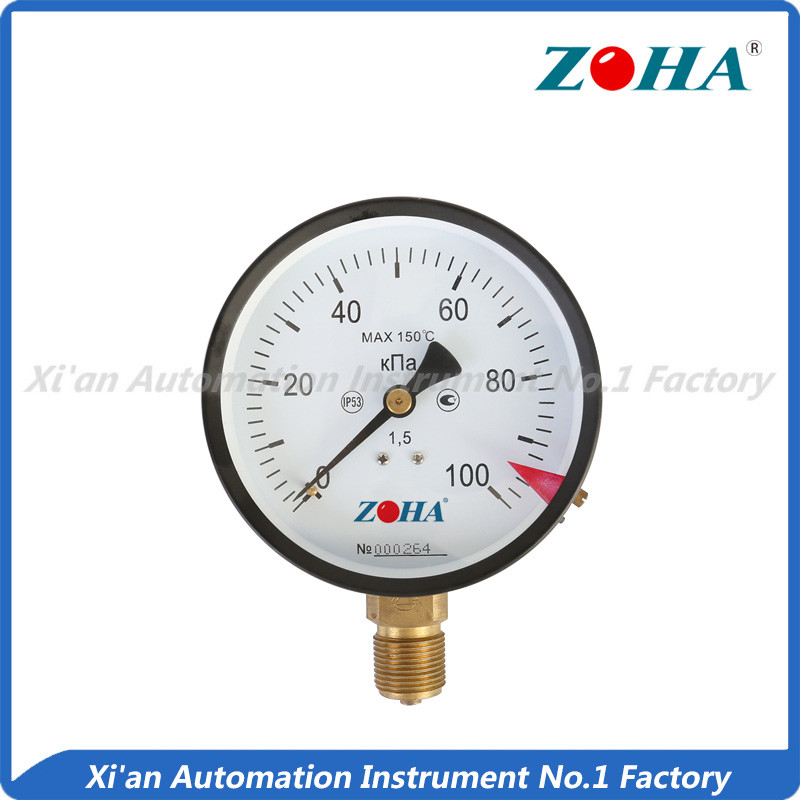 Bottom or Radial Connection Steel Case Brass Internal General Pressure Gauge