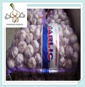 Quality Hot selling garlic High Quality garlic Fresh Garlic 2016 wholesale