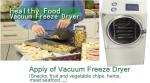 6-8kg capacity mini food dryer/food freeze dryer machine from China manufacturer