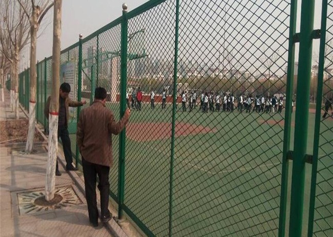 Galvanized 1.8mm Pvc Chain Link Fence For Park