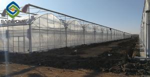Quality 0.50KN/M2 200 Micron Polyethylene Film Greenhouse wholesale