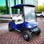 Chinese Export EV 2 Seater Golf Cart 48V 3.5KW AC System Good Quality Golf