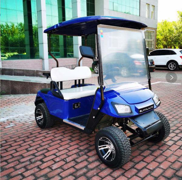 Chinese Export EV 2 Seater Golf Cart 48V 3.5KW AC System Good Quality Golf