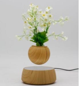Quality Magnetic Levitation Plant Pots, Potted Plants, AIR BONSAI pot tree wholesale