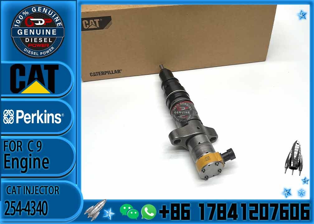 C9 Engine Fuel Injector 254-4340 328-2574 328-2576 258-8745 265-8106 267-3361 387-9435 53L-8062 387-9437 387-9438