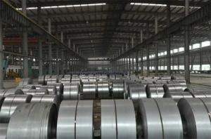 Quality SPGC SGCC Hot Galvanized Steel Coil 1m Hot Dipped Galvanised Coils wholesale