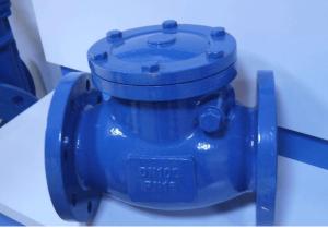 Quality API Cast Steel Non Return Check Valve Safety Reliable Sealing High Strength wholesale