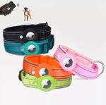 Polyester Outdoor Dog Pet Collars Leashes For Apple Airtag