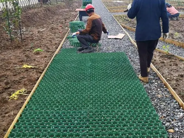 Landscape Turf Grass Paver 500*500*50MM HDPE Grass Grids Pavers with Modern Design