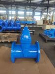 Industrial Flanged F5 Gate Valve DN200 Ductile Iron