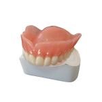 Removable Orthodontic FDA 3D Printed Tooth Crown Polishing Material