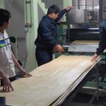 Specially Engineered Wood Veneer Black And White Root 3N For Decoration 3100mm