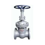 1''-8'' Flange End Stainless Steel 316 Manual Gate Valve with Customized OEM