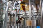 SUS304 3 In 1 500ml PET Carbonated Drink Filling Machine