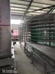 Fish Meat Pie Double Drum Spiral Belt Freezer for Sale
