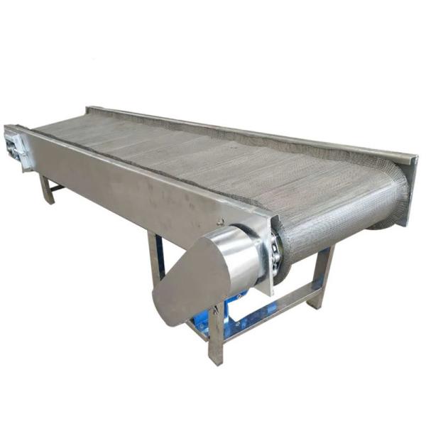 Eenclosed Belts Width Cleats Inclined Green Corrugated Sidewalls Flat Flex