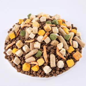 Quality Nourishing Cat Food Supplement for Optimal Pet Health wholesale