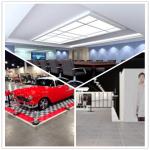 Meeting Room/Show Room/Garage/Warehouse/Bathroom/Home PVC Interlocking Decking