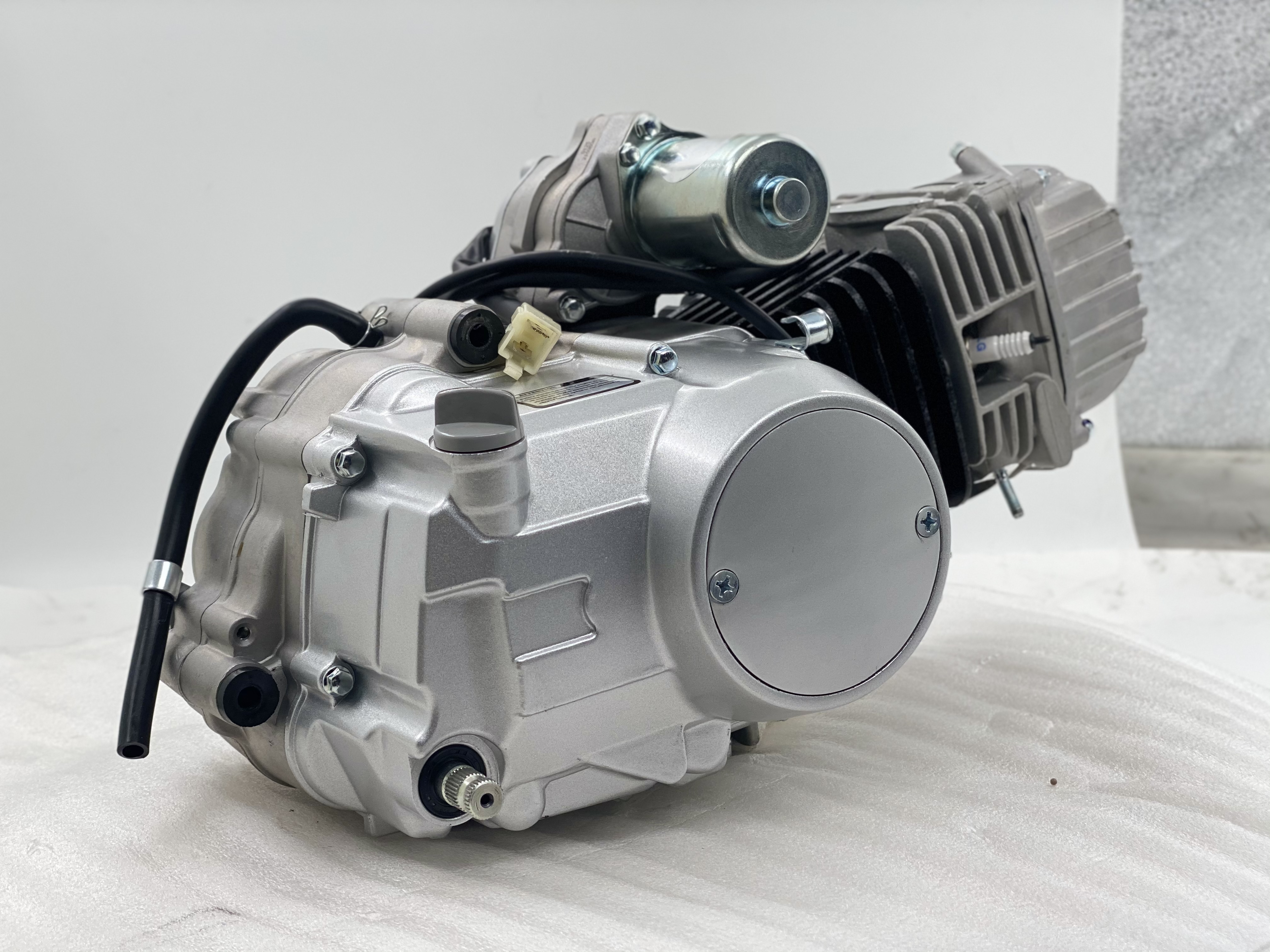 Silver 135cc Motorcycle Engine Single Cylinder 4 Stroke Air Cool Engine Assembly for DAYANG Tricycles
