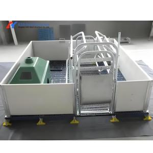 Quality Piggery Equipment Automatic Pig Feeder Stainless Steel Pigs Feeding Trough wholesale
