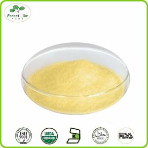 Quality Fresh Fruit Organic Pineapple Juice Powder / Ananas Powder wholesale