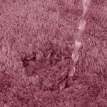 Bsci 100 Anti Skid Bathroom Fluffy Rugs Pearl Yarn Microfiber