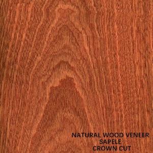 Quality Paneling And Doors Africa Natural Sapele Wood Veneer Flat Cut Crown Grain AAA Grade wholesale