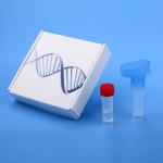 100% Nylon Disposable Dna Saliva Collection Kits Rapid Detection Home
