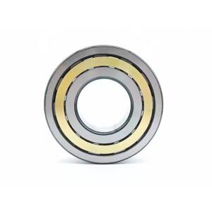 Quality Original Premium NJ313 ECM/C3 Bearing NJ 313 ECP NJ 313 ECM Cylindrical Roller Bearing NJ313 wholesale