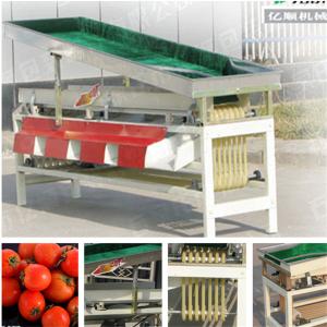 Quality Cherry tomato grading machine YSXT-1C wholesale