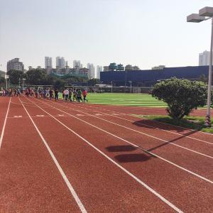 Quality IAAF Standard Aging Resistance Athletic Track Surfaces UV-Resistance wholesale