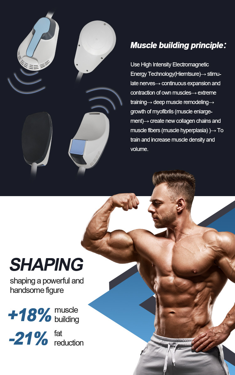 Dual Wave Professional Body Sculpting Machine , Beauty Slimming Machine Weight Loss